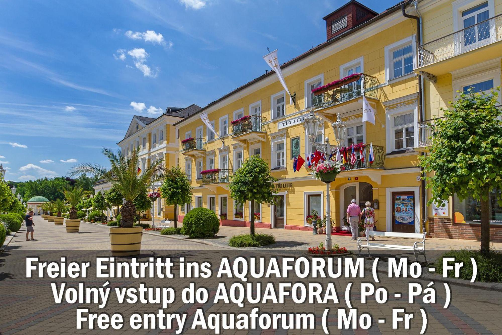 Hotel Three Lilies Inkl Aquaforum Františkovy Lázně Exterior foto